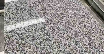 丹东 芙蓉白光面