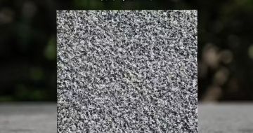 丹东 芝麻黑荔枝面