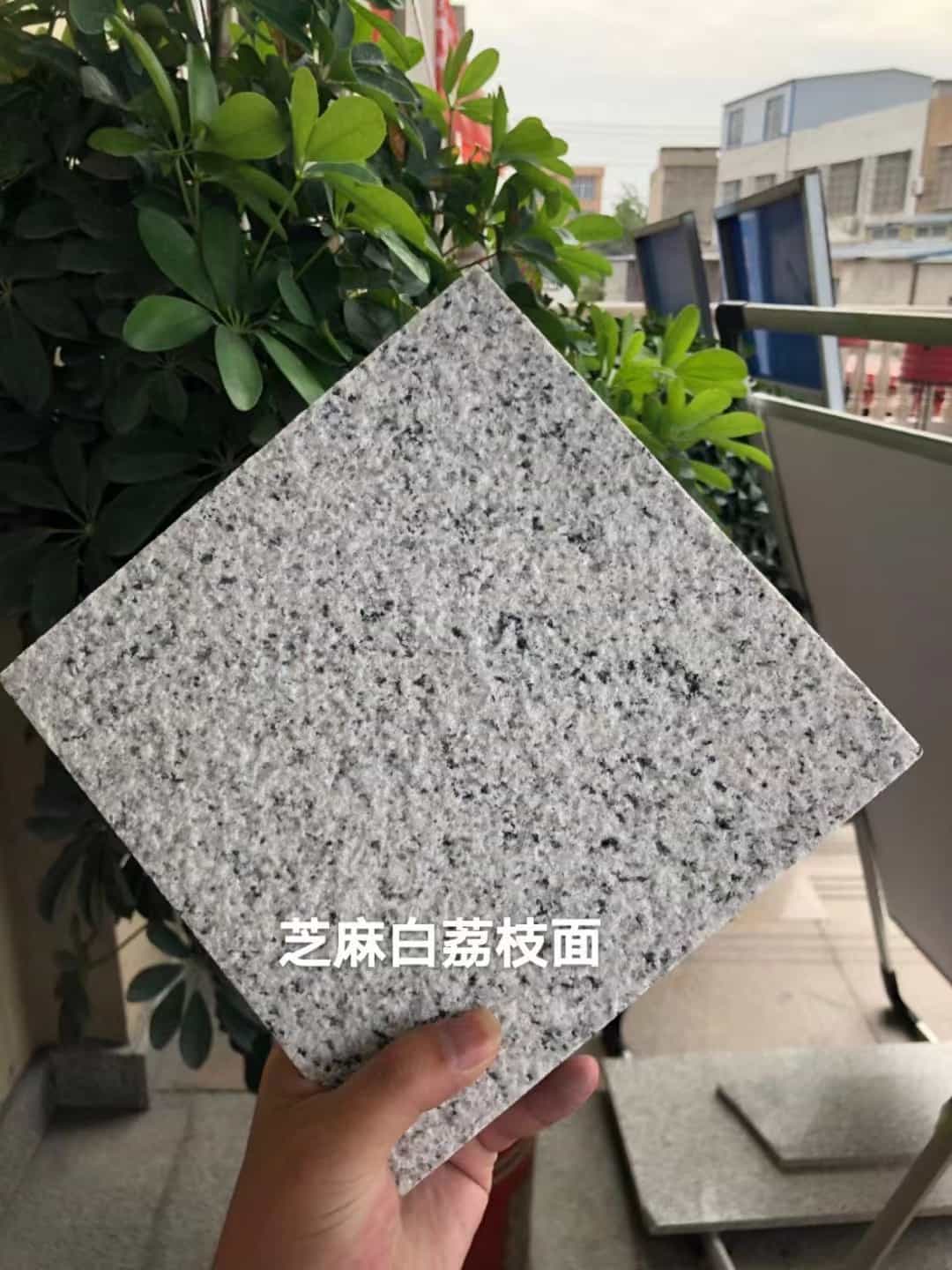 丹东 芝麻白荔枝面干挂