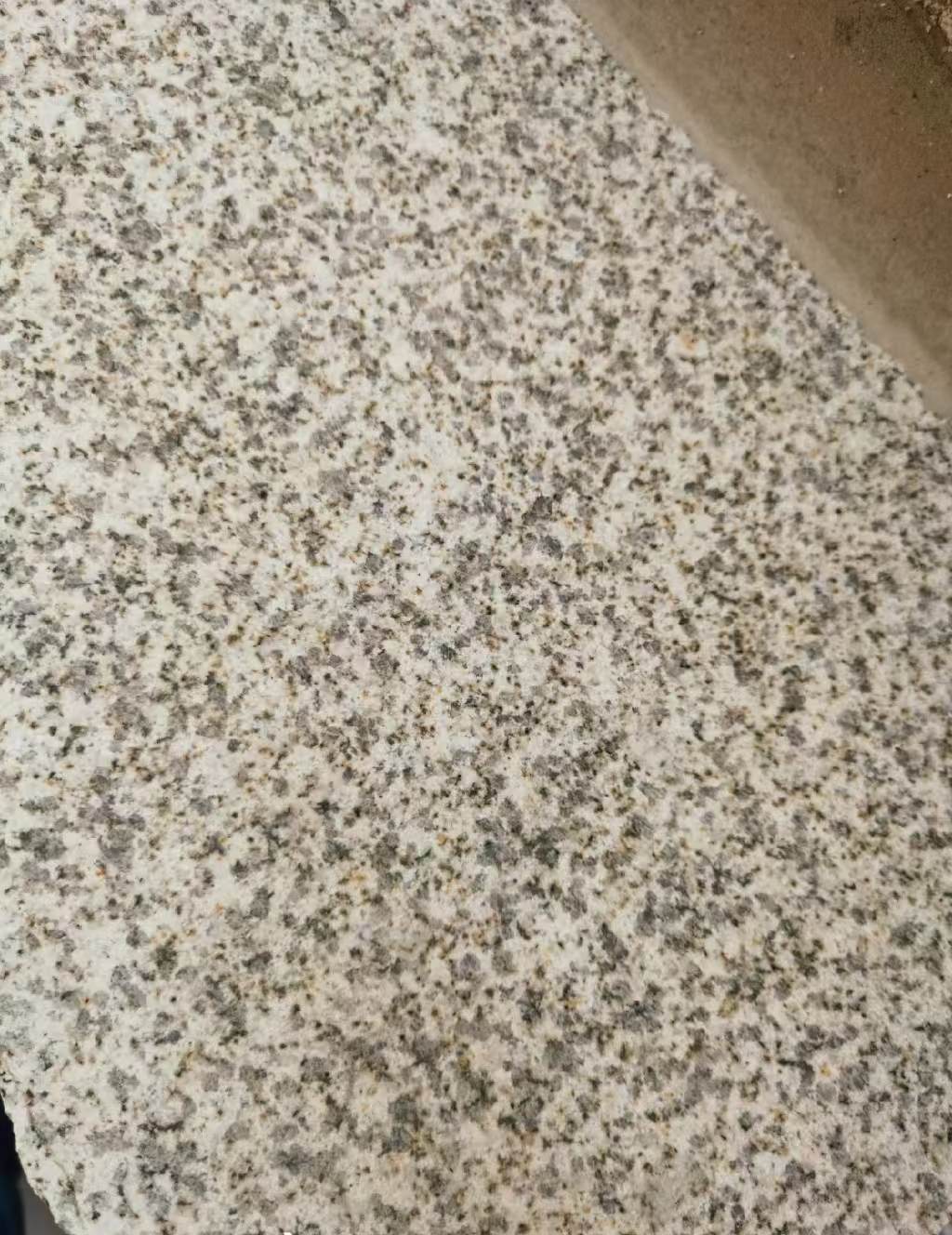 丹东 黄金麻中黄光面