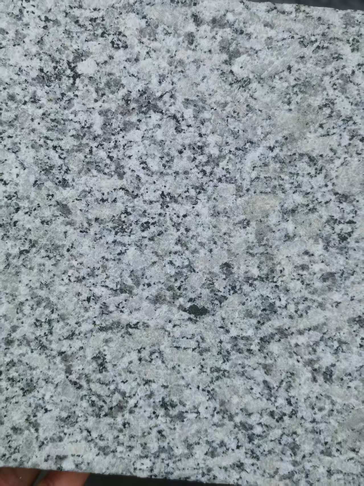 丹东 芙蓉白火烧面